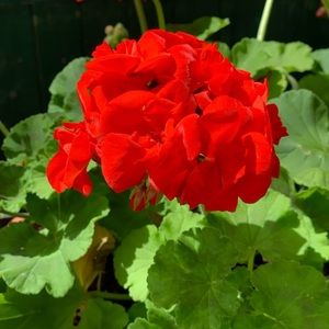 Meet your Posher, Katelynn